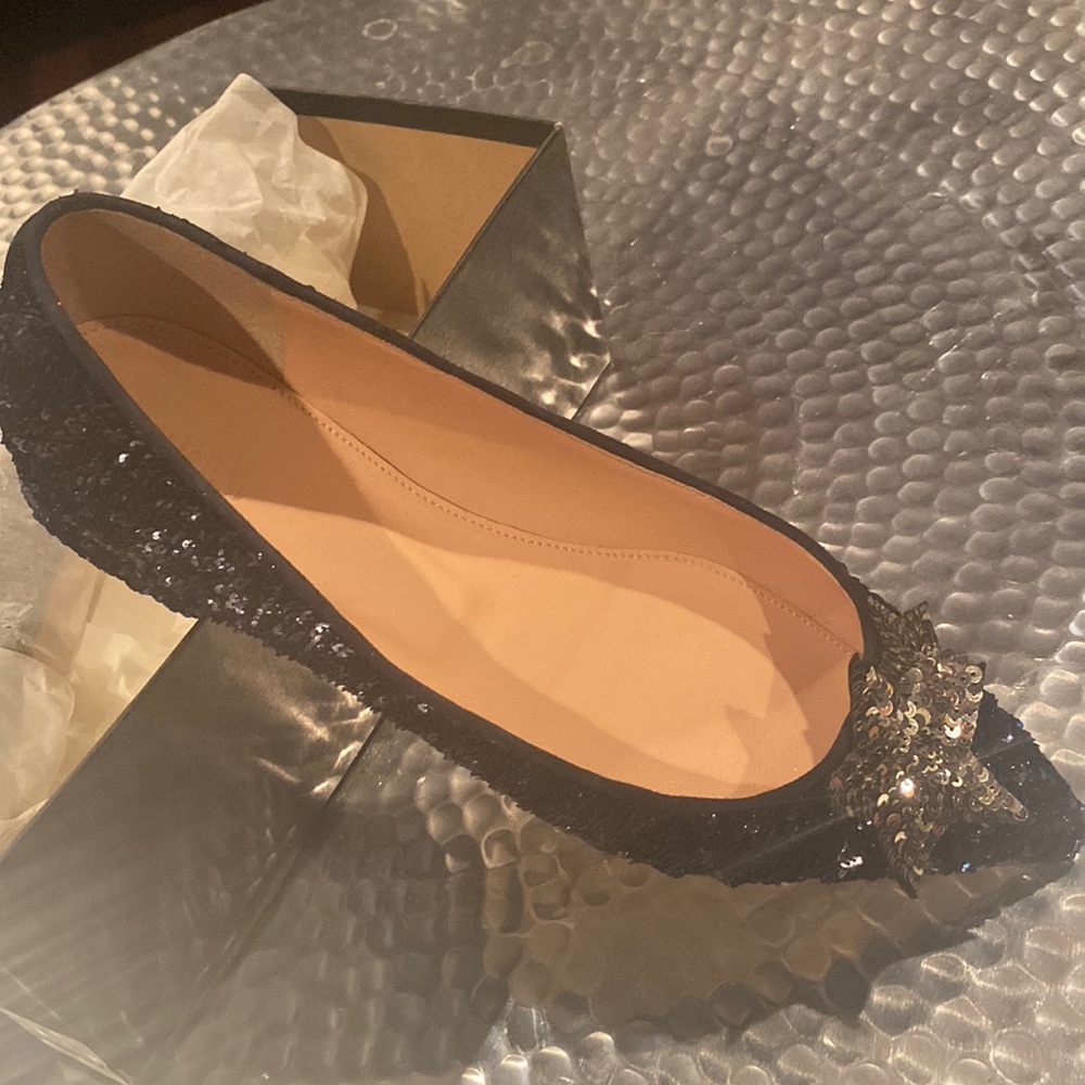 Sparkling J Crew ballerina flats brand new. Never worn